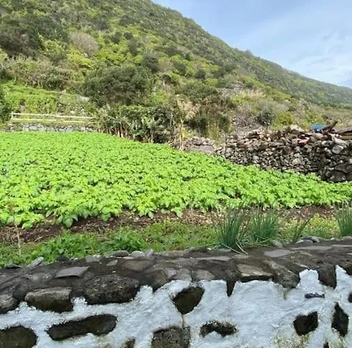 Casa De Sao Joao 펜션 Faja de Sao Joao